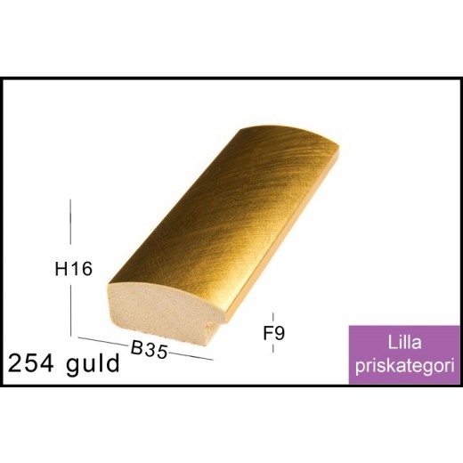 Fotoramme Nr. 254 Guld Special Størrelse