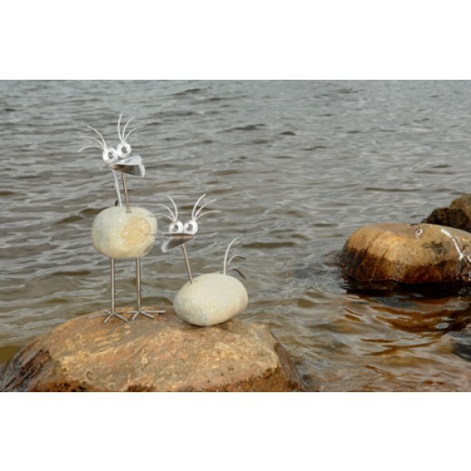 Funny birds - liggende
