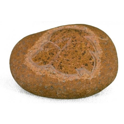STEN MED STJERNETEGN - løven