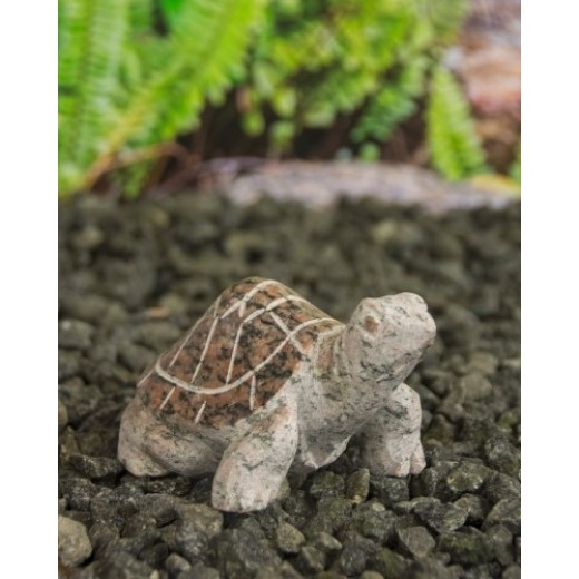 skildpaderosapoleret-33