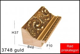 Fotoramme Nr. 3748 Guld Ornament