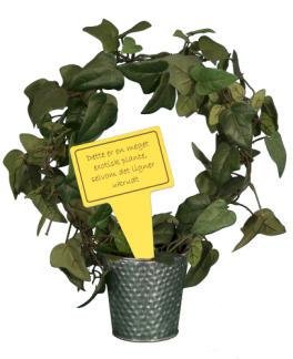 Planteskilt. Med sjovt tekst: > Dette er en meget exotisk plante, selvom det ligner ukrudt < 10x19 cm. Materiale: Plast
