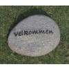 Pyntesten (Velkommen)