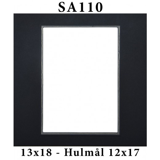 SA11013x18-37