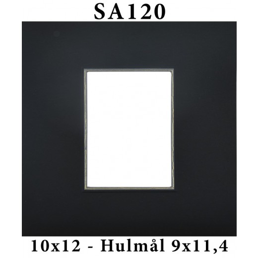 SA12010x12-38