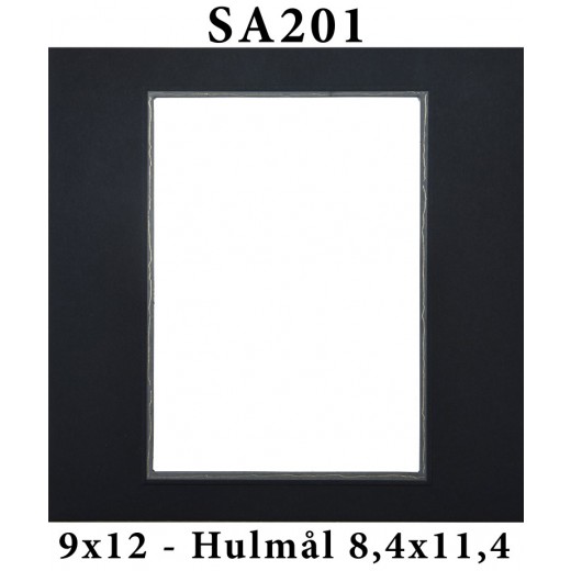 SA20110x12-38