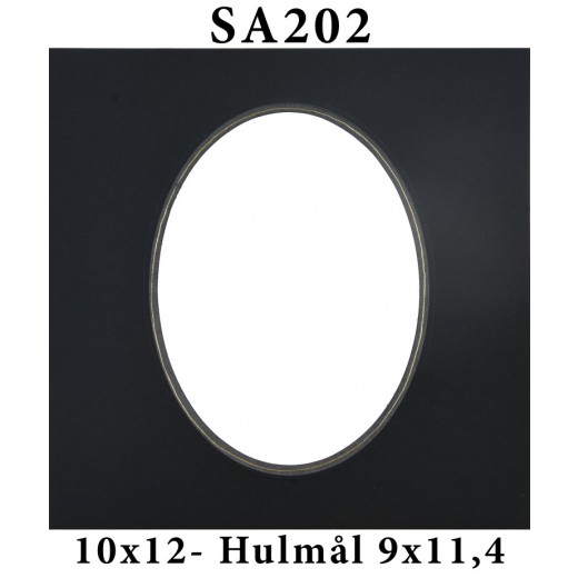 SA20210x12-37