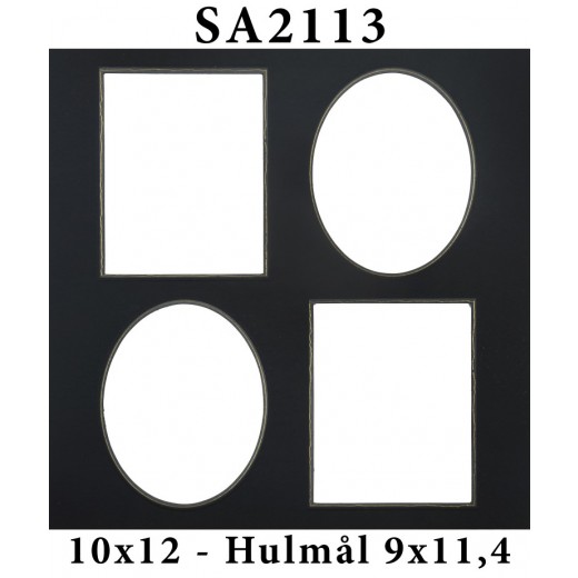 SA211310x12-38