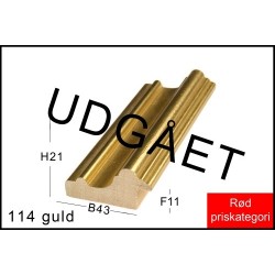 RAMMELISTENR114GULDUDGET-20