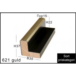 RAMMELISTE NR. 621 GULD