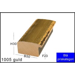 Fotoramme Nr. 1005 Guld
