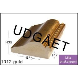 RAMMELISTENR1012GULDERUDGET-20