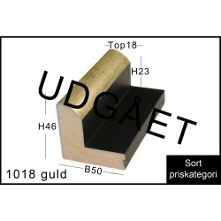 RAMMELISTENR1018GULDUDGET-20