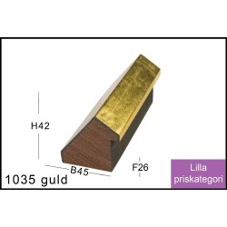 Fotoramme Nr. 1035 Guld