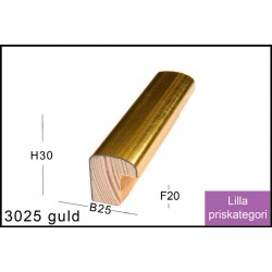 RAMMELISTENR3025GULD-20