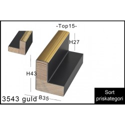 3543 guld svæveramme