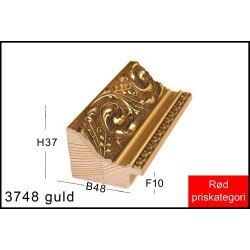 RAMMELISTENR3748GULD-20