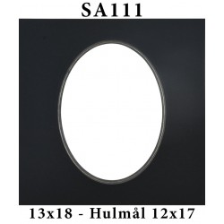 SA11113x18-20
