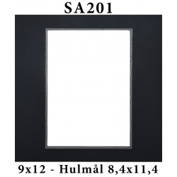 SA20110x12-20