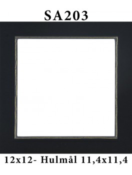 SA203 - 12x12