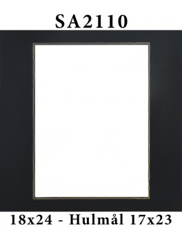 SA2110 - 18x24