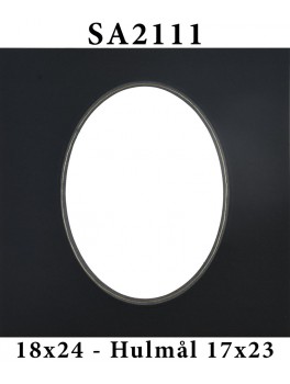 SA2111 - 18x24